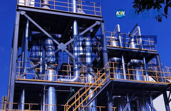 多效降膜蒸發器可以根據項目具體情況，選擇雙效、三效、四效、甚至五效的蒸發結晶系統，具有濃縮比大、粘度覆蓋范圍廣、傳熱效率高的特點