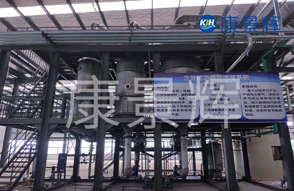 多效降膜蒸發器可以用來濃縮處理廢水，特別適合處理牛奶、淀粉、葡萄糖等食品廠廢水的加工處理中
